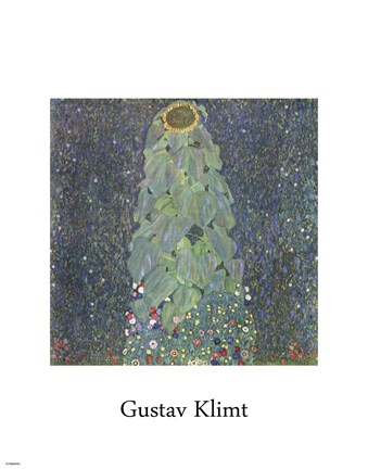 Framed Sunflower, c. 1906-1907 Print