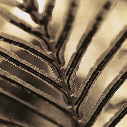 Framed Abstraction Print