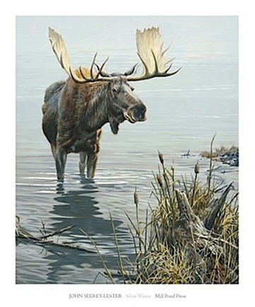 Framed Silent Waters Print