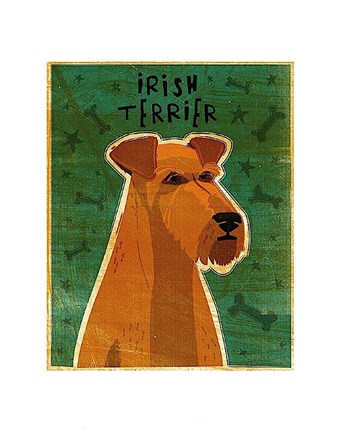 Framed Irish Terrier Print