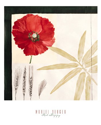 Framed Red Poppy Print