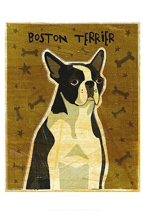 Framed Boston Terrier Print