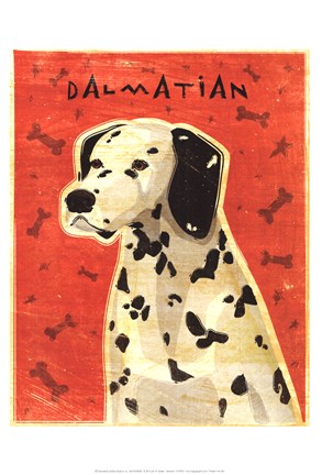 Framed Dalmation Print