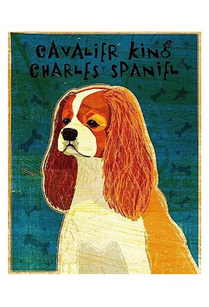 Framed Cavalier King Charles (Blenheim) Print