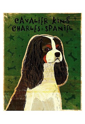 Framed Cavalier King Charles (tri-color) Print