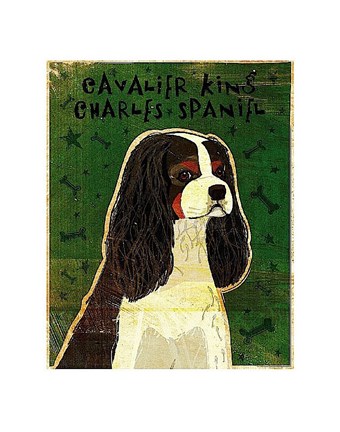 Framed Cavalier King Charles (tri-color) Print