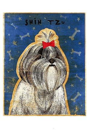Framed Shih Tzu Print