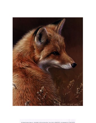 Framed Curious- Red Fox Print