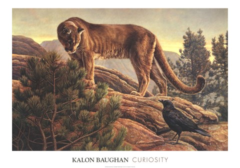 Framed Curiosity Print