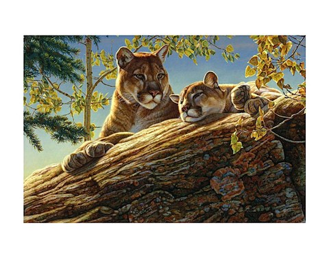 Framed Keeping Guard Print