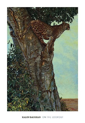 Framed On the Lookout Print