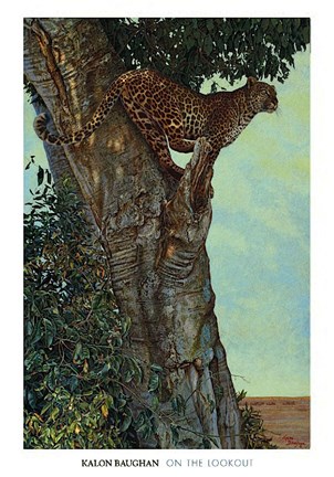 Framed On the Lookout Print