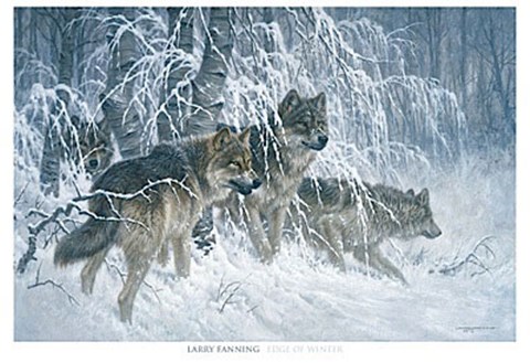 Framed Edge of Winter (detail) Print