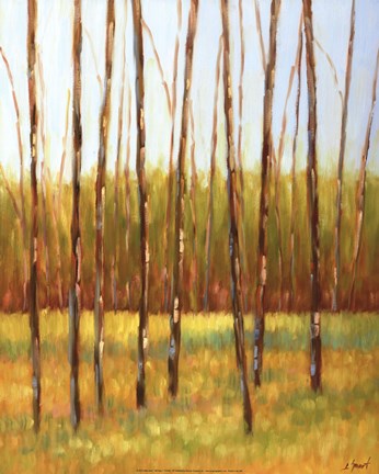 Framed Tall Trees I (left) Print