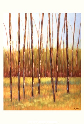 Framed Tall Trees I (left) Print