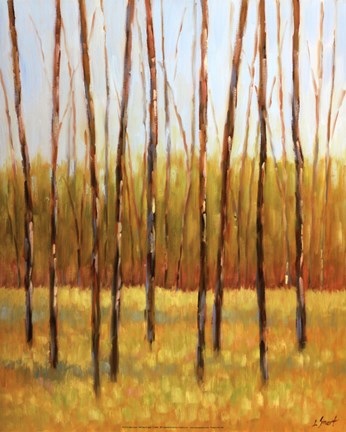 Framed Tall Trees II (right) Print