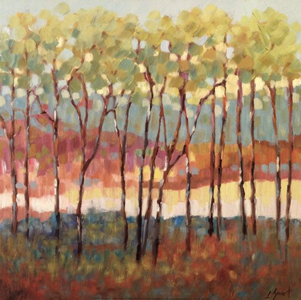 Framed Distant Color Print