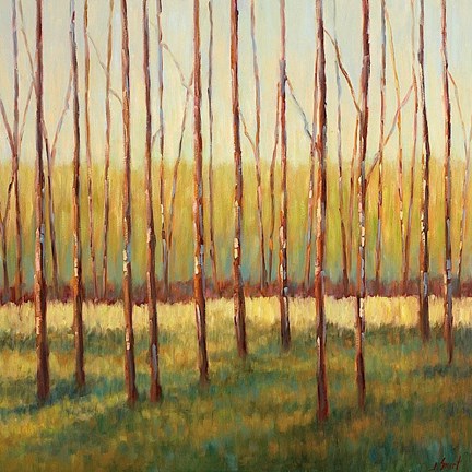 Framed Grove of Trees Print