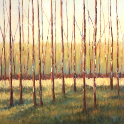 Framed Grove of Trees Print