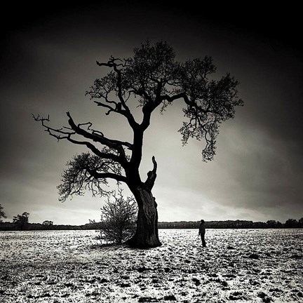 Framed Conversation Print