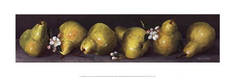 Framed Pears in a Row Print