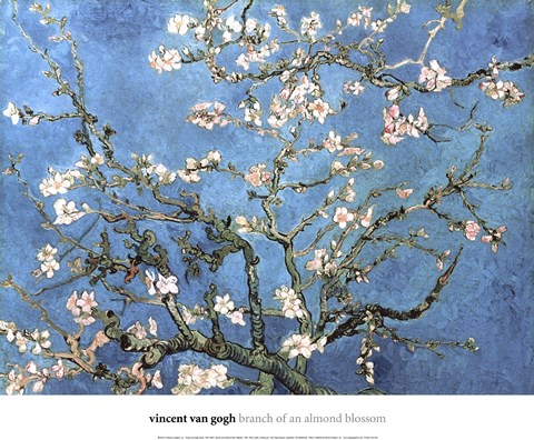 Framed Almond Blossom, 1890 Print