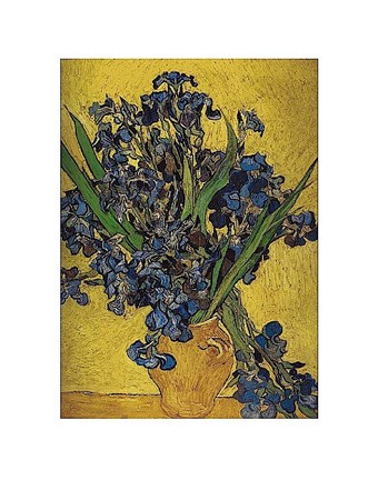 Framed Irises in Vase Print