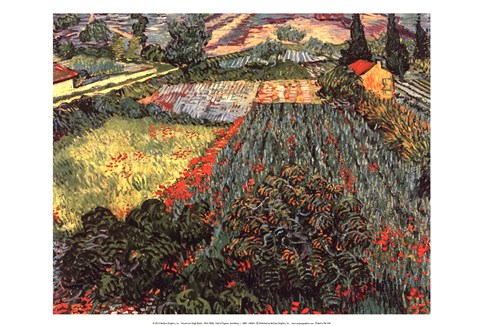 Framed Field of Poppies, Saint-Remy, c. 1889 Print