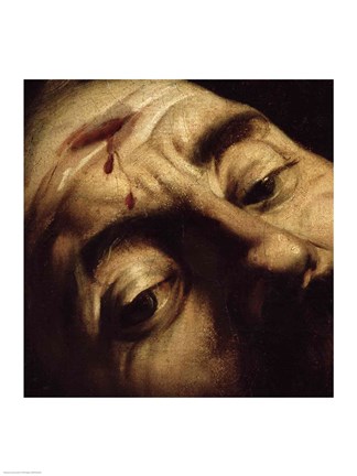 Framed David Victorious over Goliath, c.1600 Print