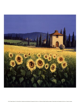 Framed Golden Warmth Print