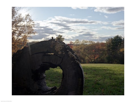 Framed Only Moment We Were Alone Print