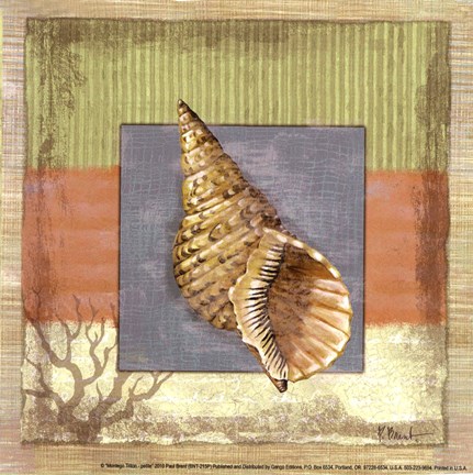 Framed Montego Triton petite Print