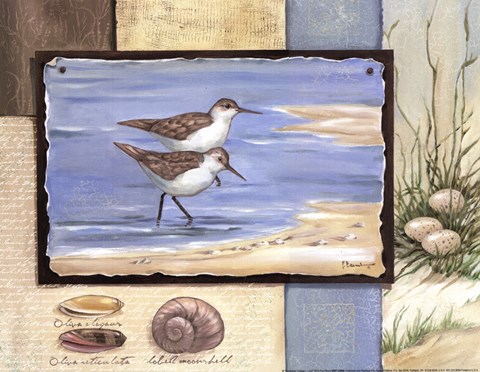 Framed Sandpiper Collage I - mini Print