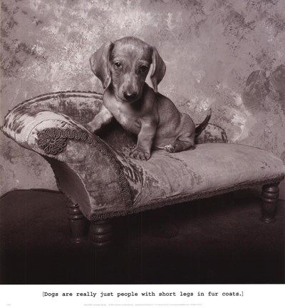 Framed Snow White Print