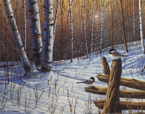 Framed Sitting in the Sun Print