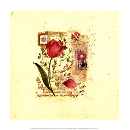 Framed Flower Notes with Purple Tulip Print