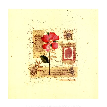 Framed Flower Notes with Pink Poppy Print