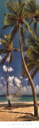 Framed Hammock I Print