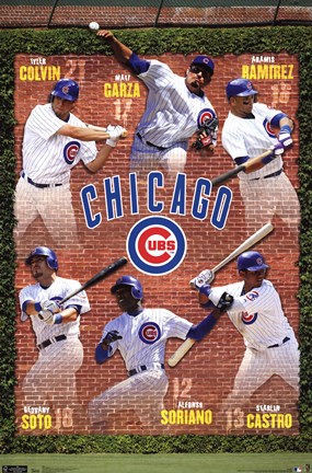 Framed Cubs - Collage 11 Print