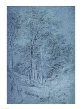 Framed Study of ash and other trees Print