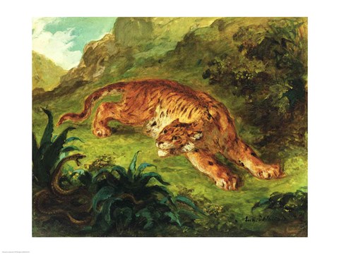 Framed Tiger and Snake, 1858 Print