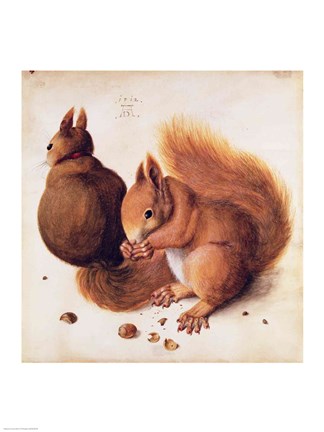 Framed Squirrels, 1512 Print