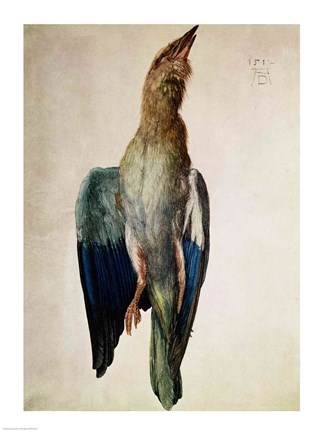 Framed Blue Crow, 1512 Print