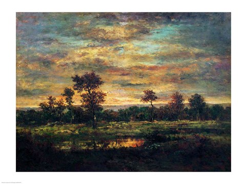 Framed Pond at the Edge of a Wood Print