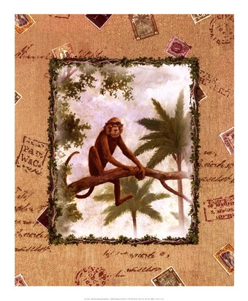 Framed Bermuda Paradise II Print