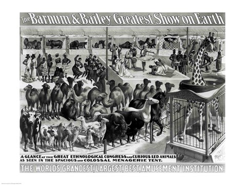 Framed 'The Barnum and Bailey Greatest Show On Earth' Curious Animals Print