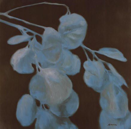 Framed Eucalyptus II Print