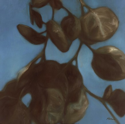 Framed Eucalyptus I Print