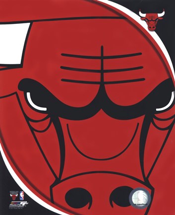 Framed Chicago Bulls Team Logo Print