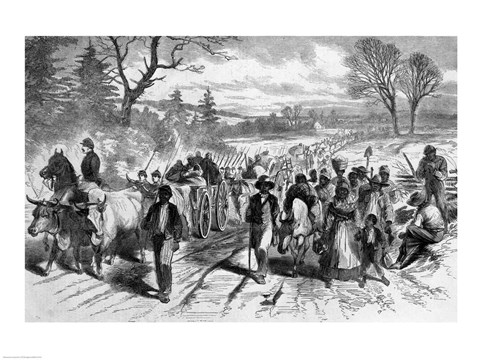 Framed Effects of the Proclamation: Freed Negroes Coming into Our Lines at Newbern, North Carolina Print